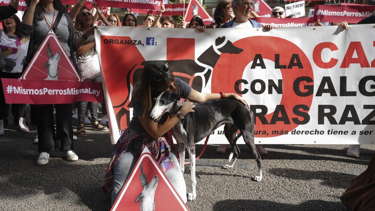 Animalistas piden que el PSOE retire la enmienda a la ley de protección