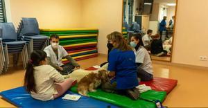 ¿Es la salud mental una nueva pandemia? ¿Puede una terapia con perros ayudar a mejorar?