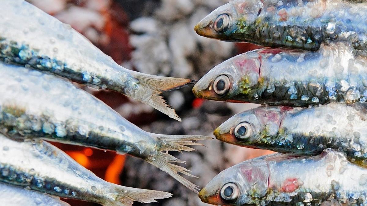 Se pueden congelar sardinas sin limpiar