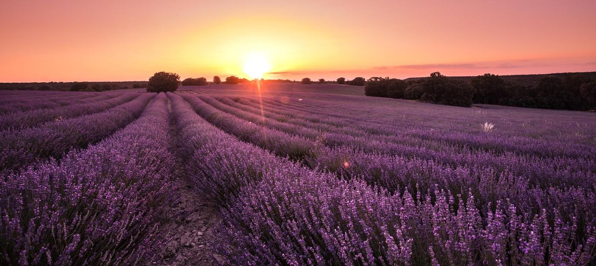 ¿Por qué es Solsticio de verano en vez de Equinoccio? Estas son las diferencias entre ambos fenómenos ¿Por qué es Solsticio de verano en vez de Equinoccio? Estas son las diferencias entre ambos fenómenos