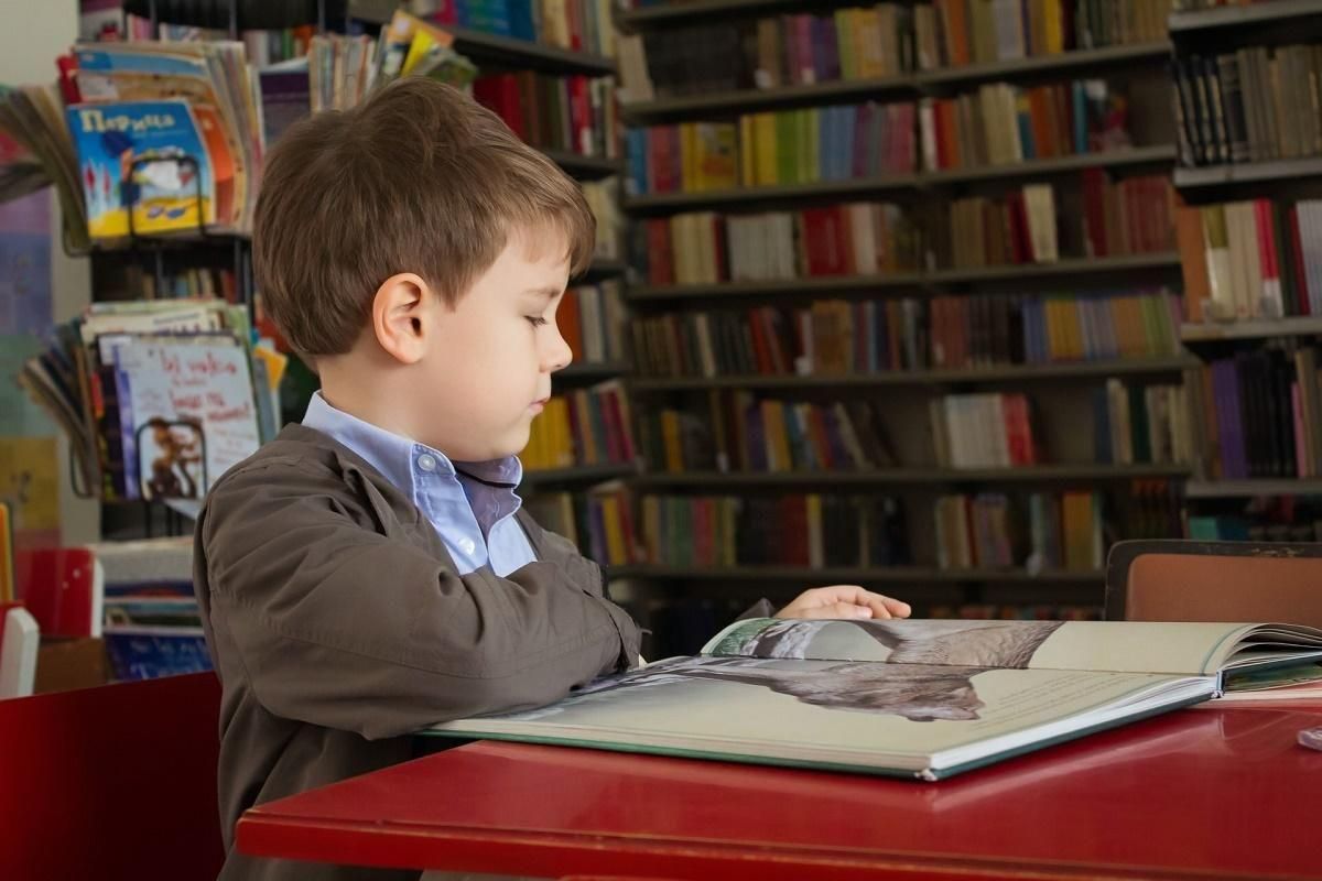 Los niños más inteligentes se hacen, no nacen Los niños más inteligentes se hacen, no nacen