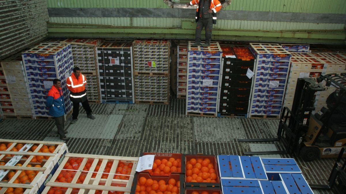 Bruselas hace oficial el tratamiento en frío a las naranjas de Sudáfrica para proteger a las españolas