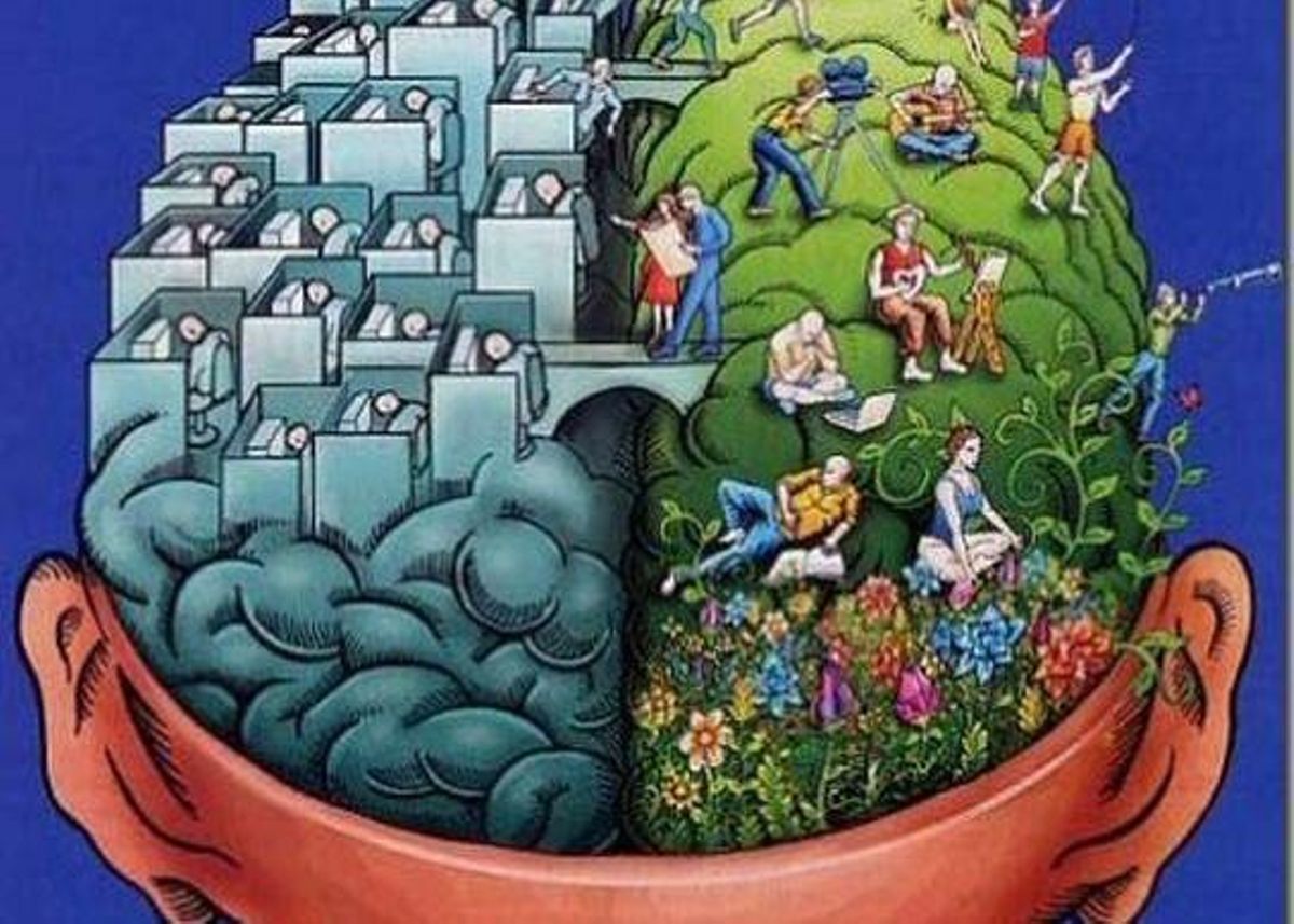 Los hemisferios cerebrales no son iguales ni en los gemelos idénticos Los hemisferios cerebrales no son iguales ni en los gemelos idénticos