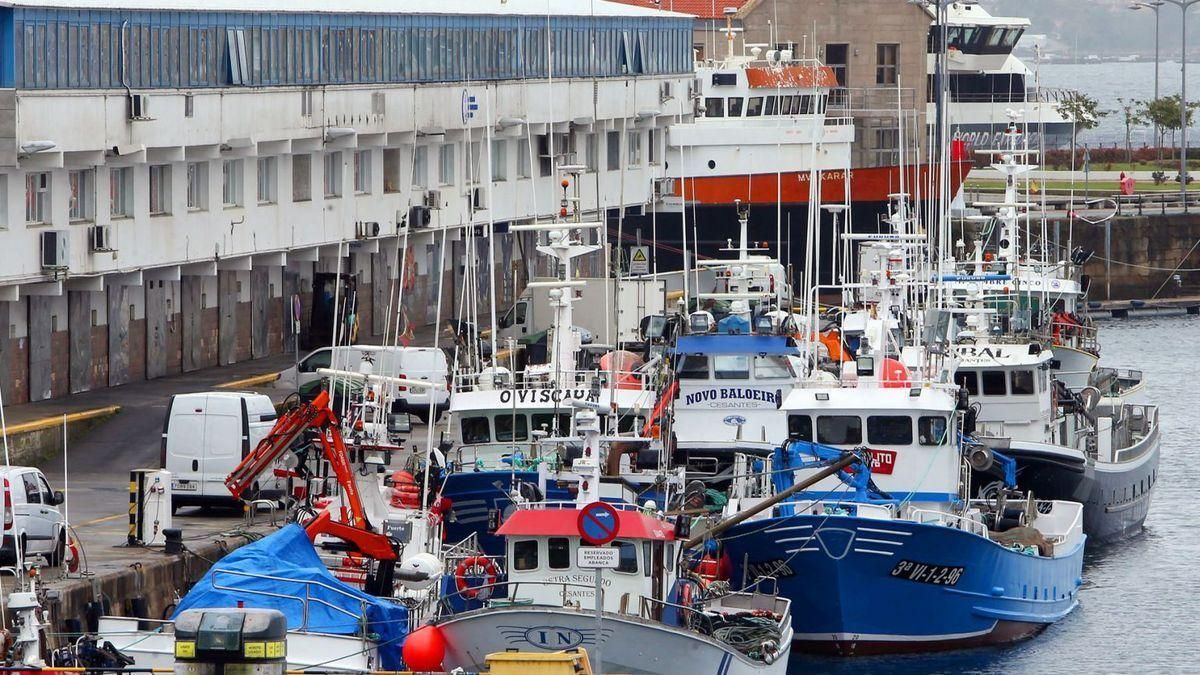 Primera denuncia contra Bruselas por el veto a la pesca de fondo: "Es prevaricación" Primera denuncia contra Bruselas por el veto a la pesca de fondo: "Es prevaricación"