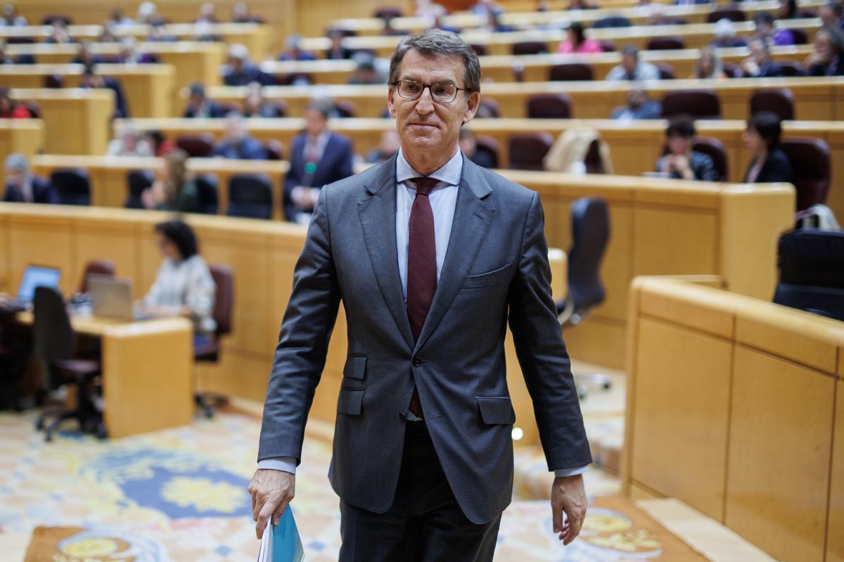 El líder del Partido Popular, Alberto Núñez Feijóo, durante una sesión de control al Gobierno en el Senado, a 22 de noviembre de 2022, en Madrid (España). 