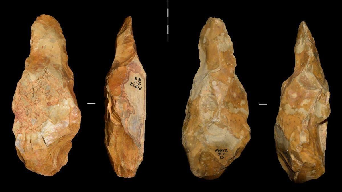 Descubren en Inglaterra herramientas usadas por humanos hace 620.000 años Descubren en Inglaterra herramientas usadas por humanos hace 620.000 años