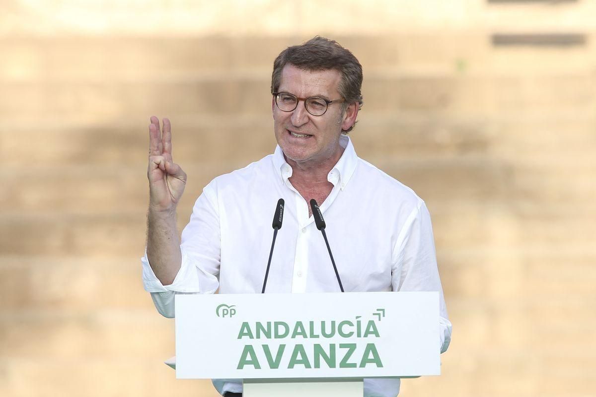 El líder del PP, Alberto Núñez Feijóo. El líder del PP, Alberto Núñez Feijóo.