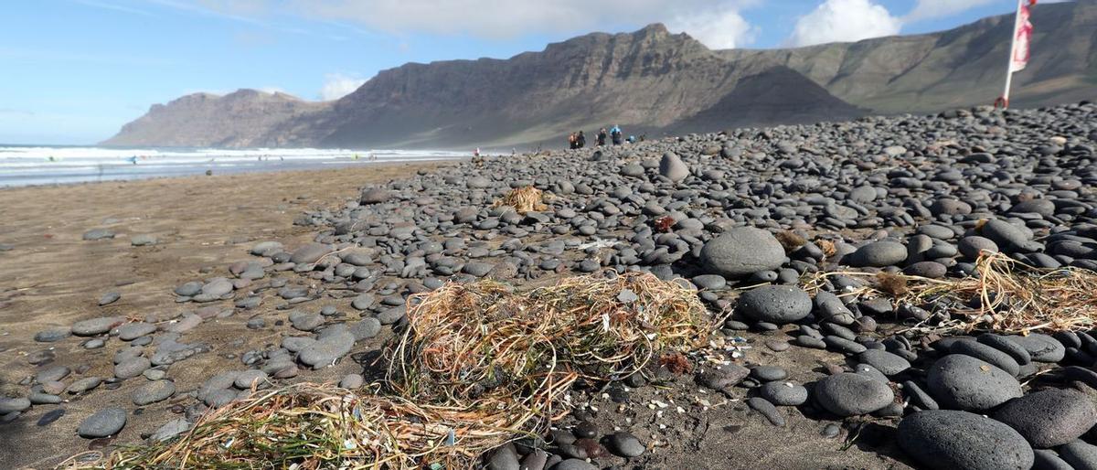 Los microplásticos que contaminan las Canarias salen de sus lavadoras