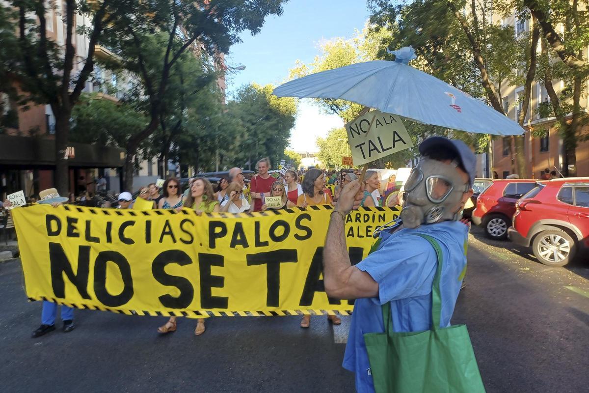 MADRID | La tala de árboles sigue enfrentando a los vecinos y el ...