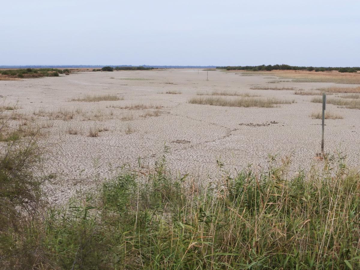 Paisaje de Doñana afectado por la sequía.