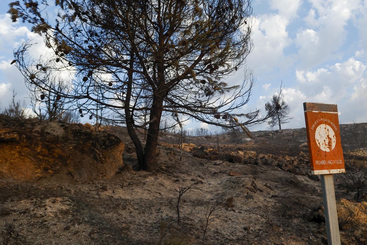 El fuego ha quemado más de 10.000 hectáreas en Castellón. EFE El fuego ha quemado más de 10.000 hectáreas en Castellón. EFE