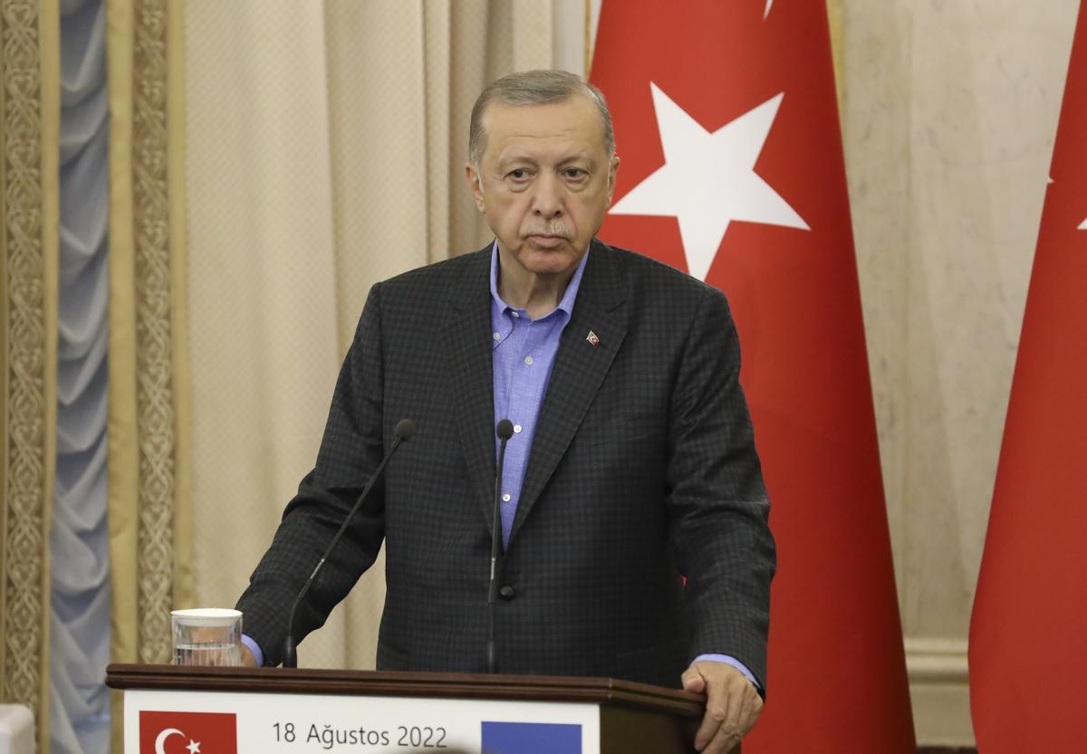 Fotografía de archivo del presidente turco, Recep Tayyip Erdogan. EFE/EPA/MYKOLA TYS