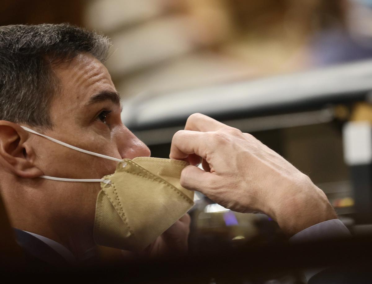 Pedro Sánchez se coloca la mascarilla en el Congreso de los Diputados.