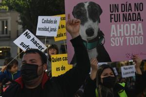 Dos mujeres, con pancartas y la foto de unos galgos, en una manifestación contra la caza, a 6 de febrero de 2022, en Madrid (España).