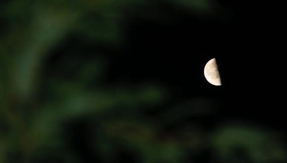 La tradición que une la luna menguante de febrero con la tala pervive