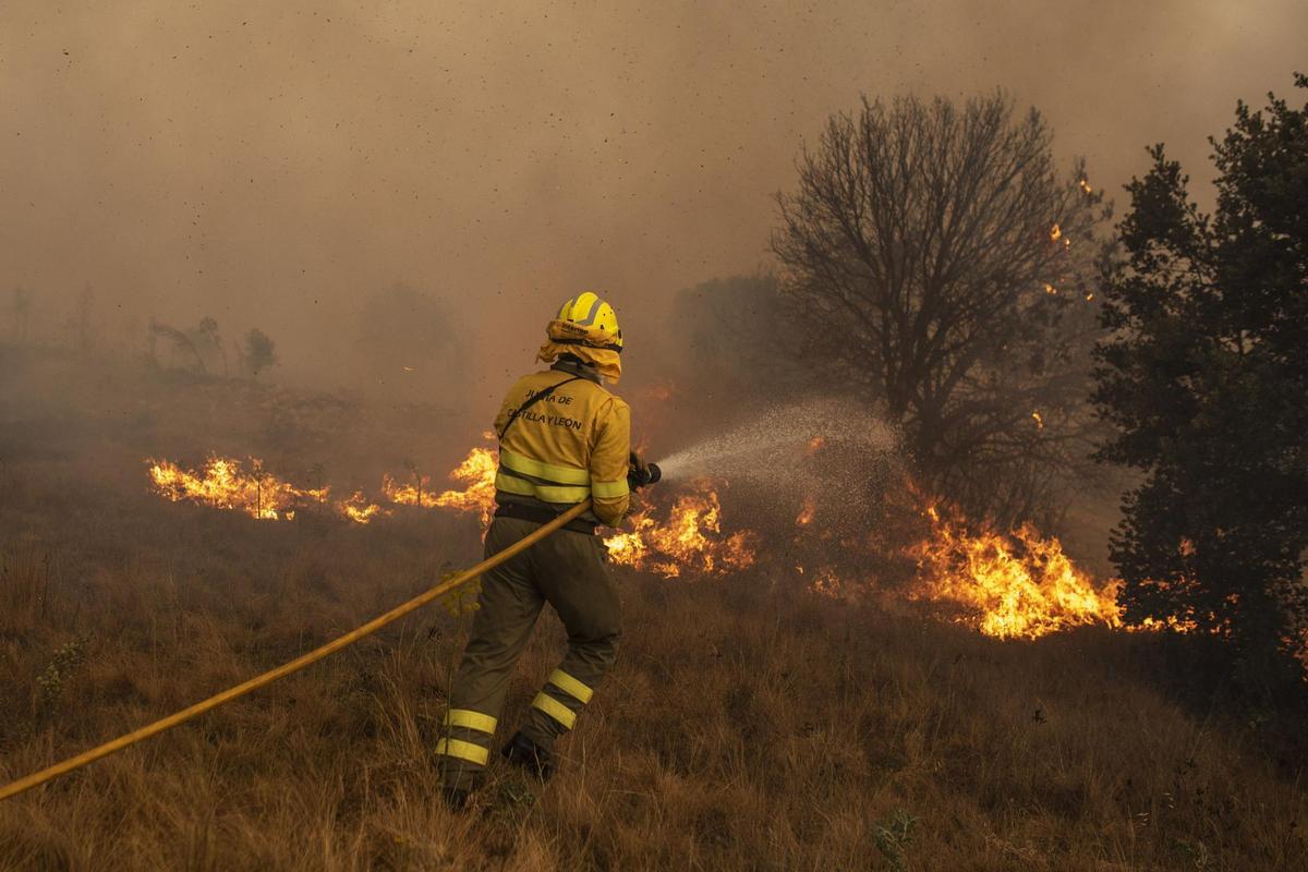 Efectivos de bomberos durante el incendio de la Sierra de la Culebra, en Zamora.