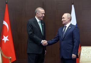 Putin propone a Erdogan crear un centro de distribución de gas en Turquía