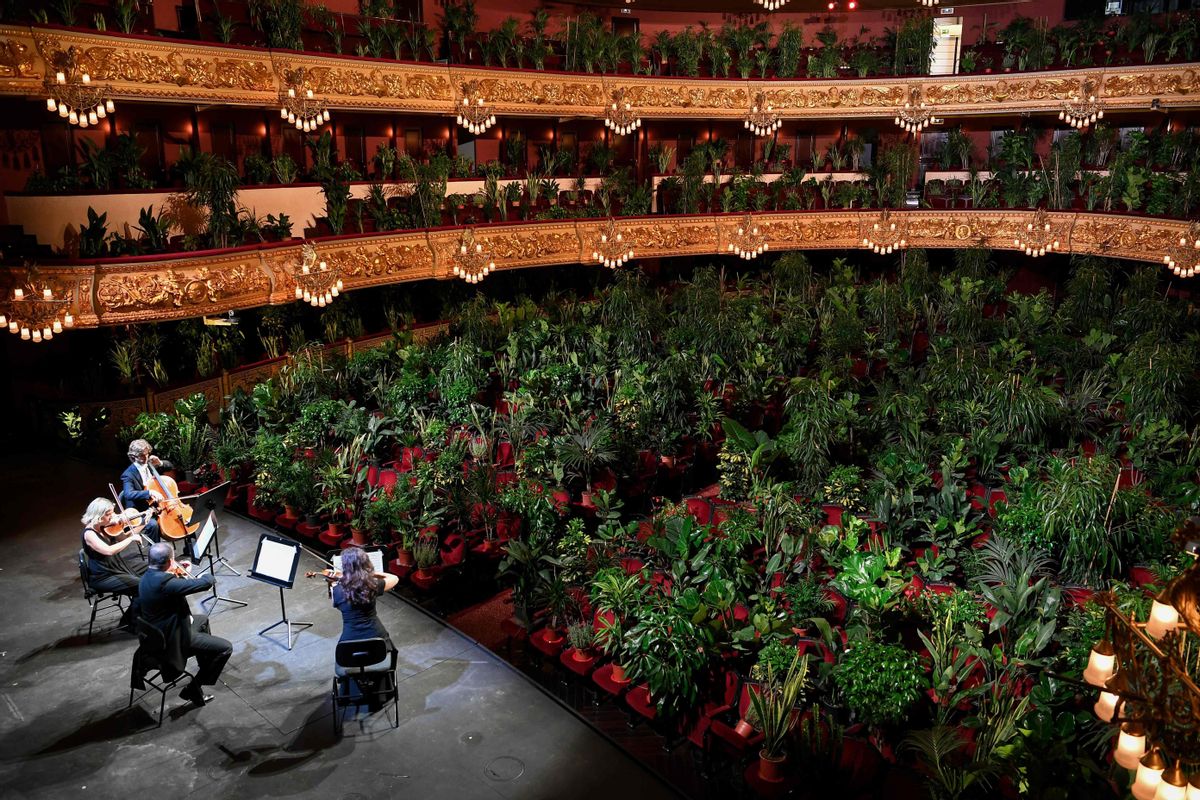 El ’Concierto para el Bioceno’ de Eugenio Ampudia en el Liceu. El ’Concierto para el Bioceno’ de Eugenio Ampudia en el Liceu.