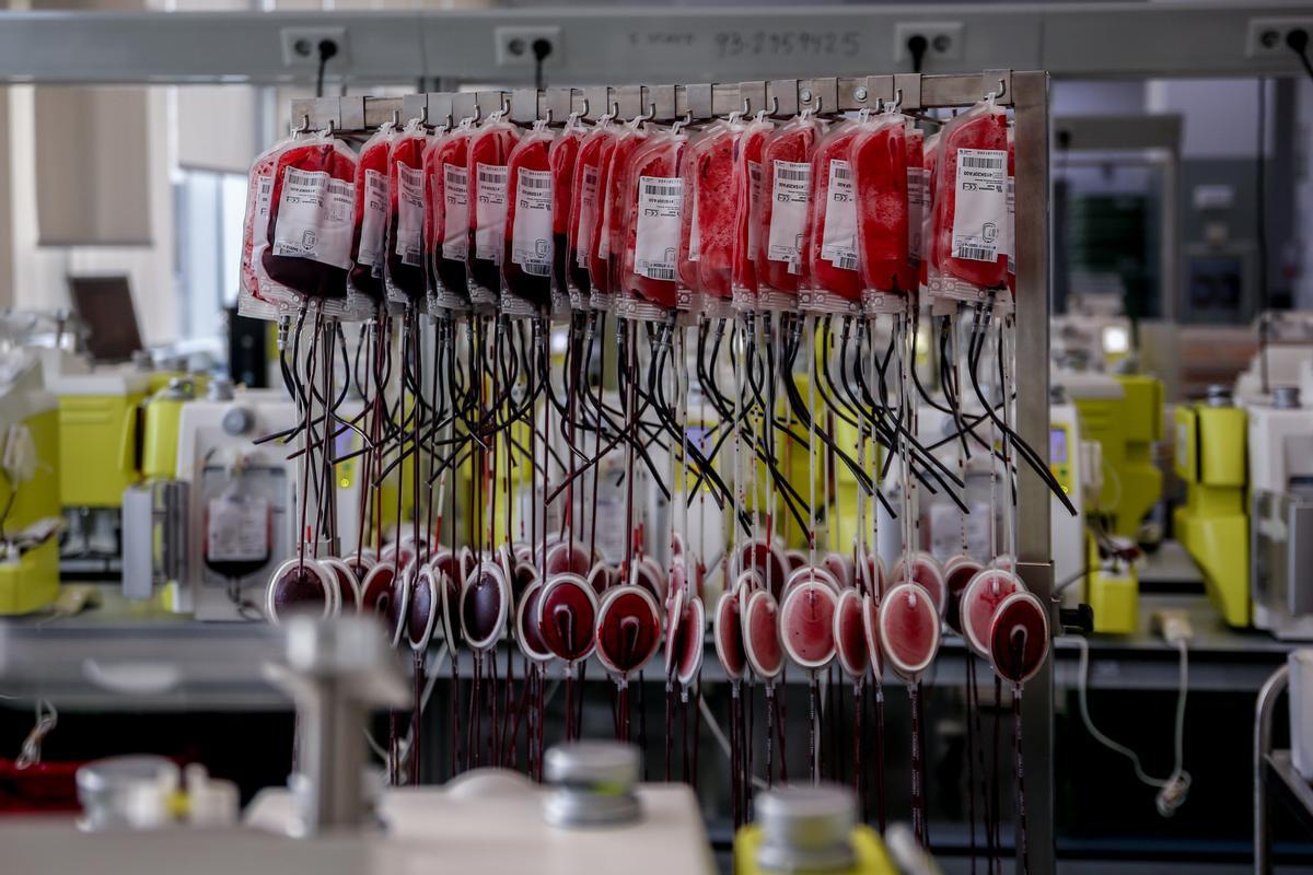 Falta sangre en Madrid: las reservas de sangre de los grupos 0+ y B- están en alerta roja en los hospitales