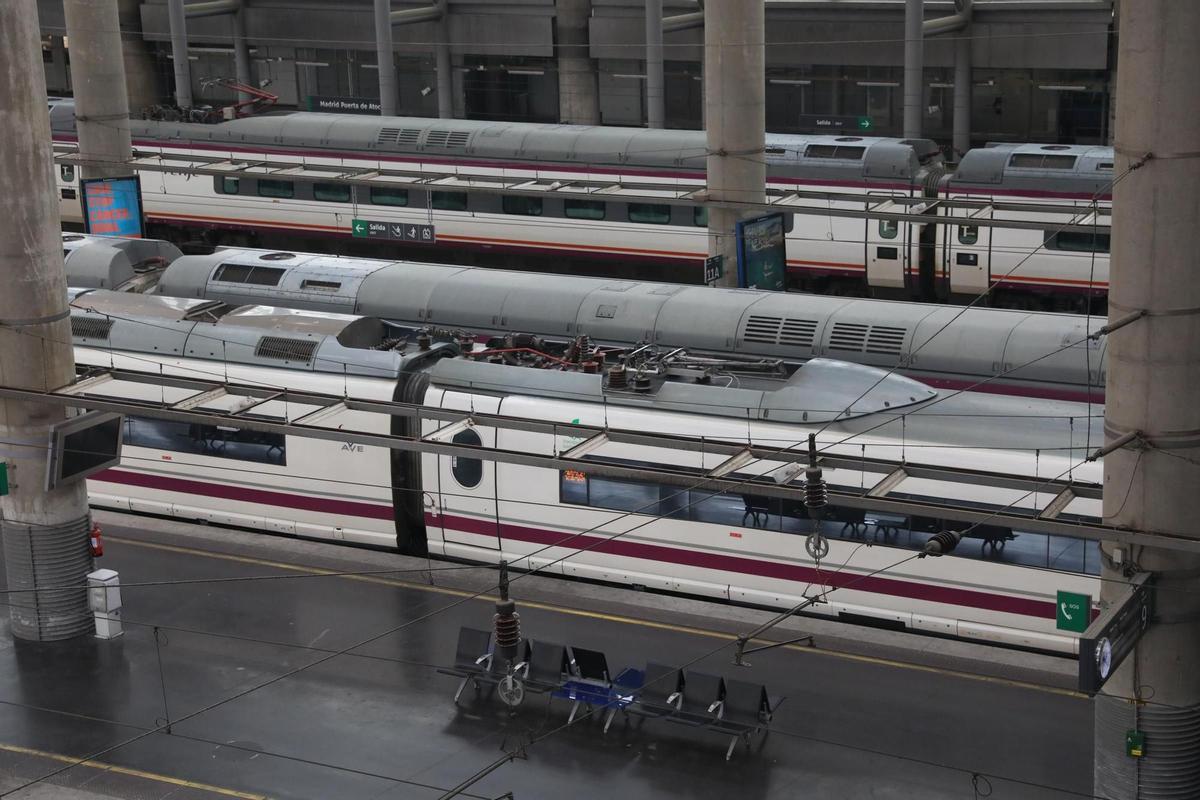Varios trenes en andenes en la estación de Atocha