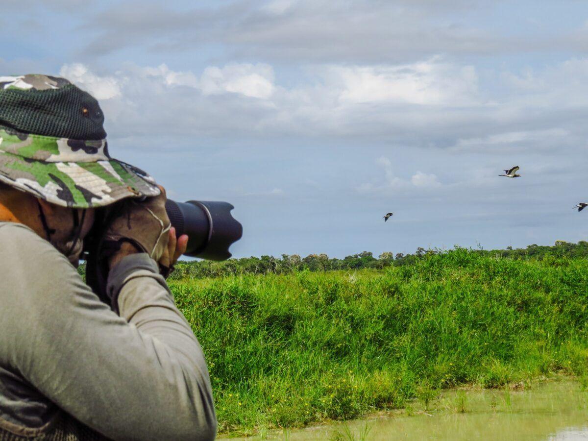 Siete Consejos Para Iniciarse En La Observación De Aves El Periódico