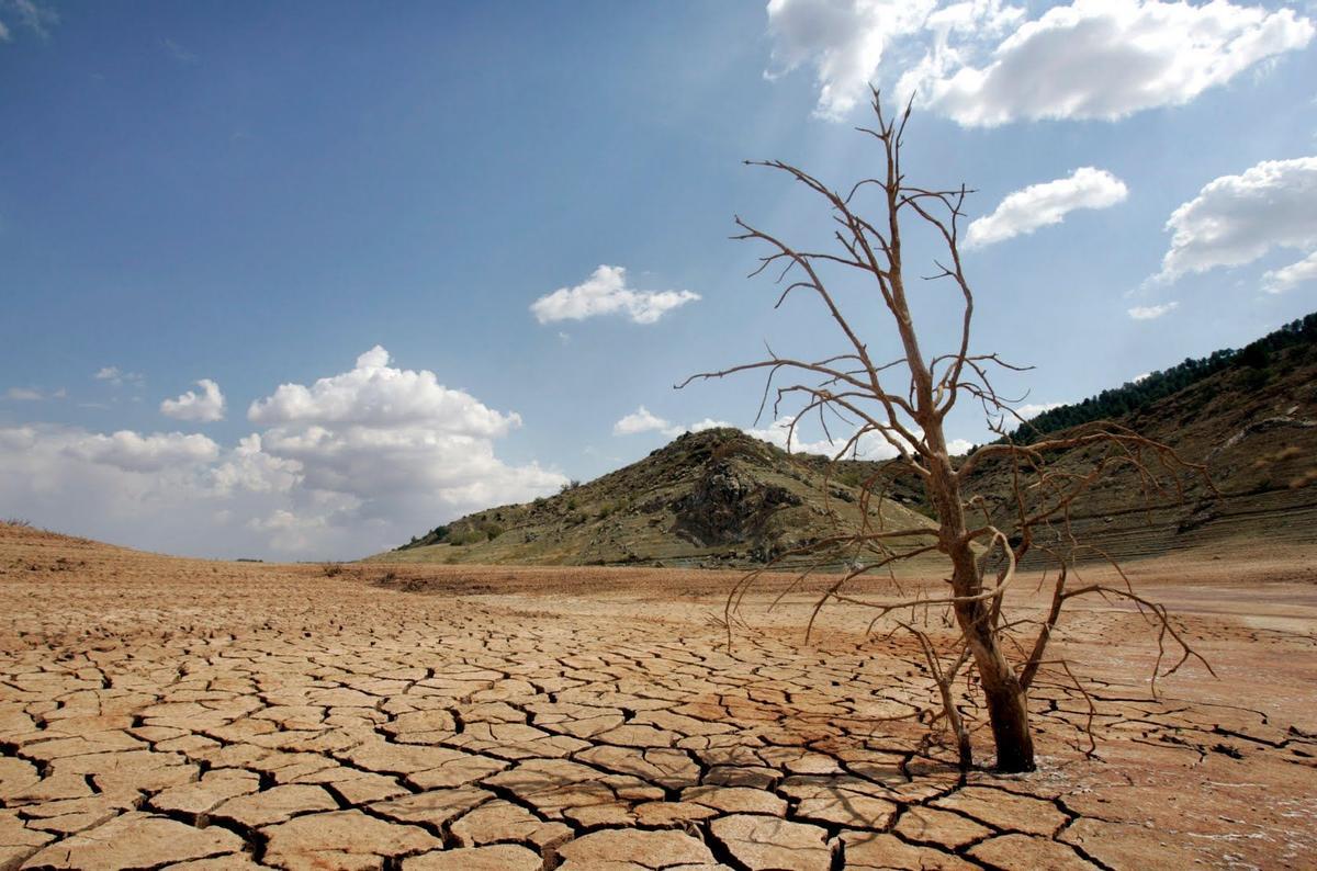 España está perdiendo un 6% anual de su producción agrícola por el cambio climático