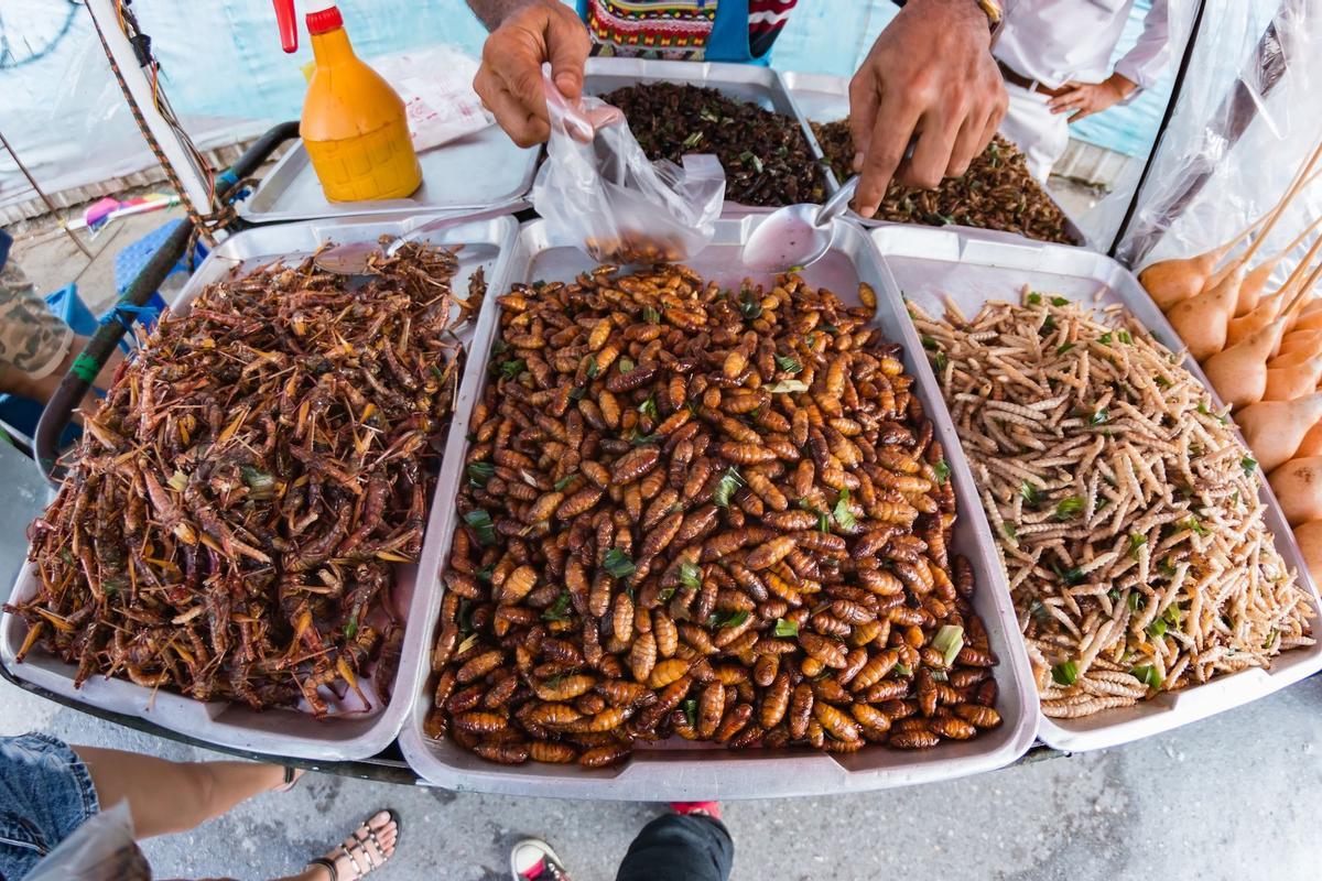 Así puedes saber si el alimento que compras tiene insectos: pueden estar enteros