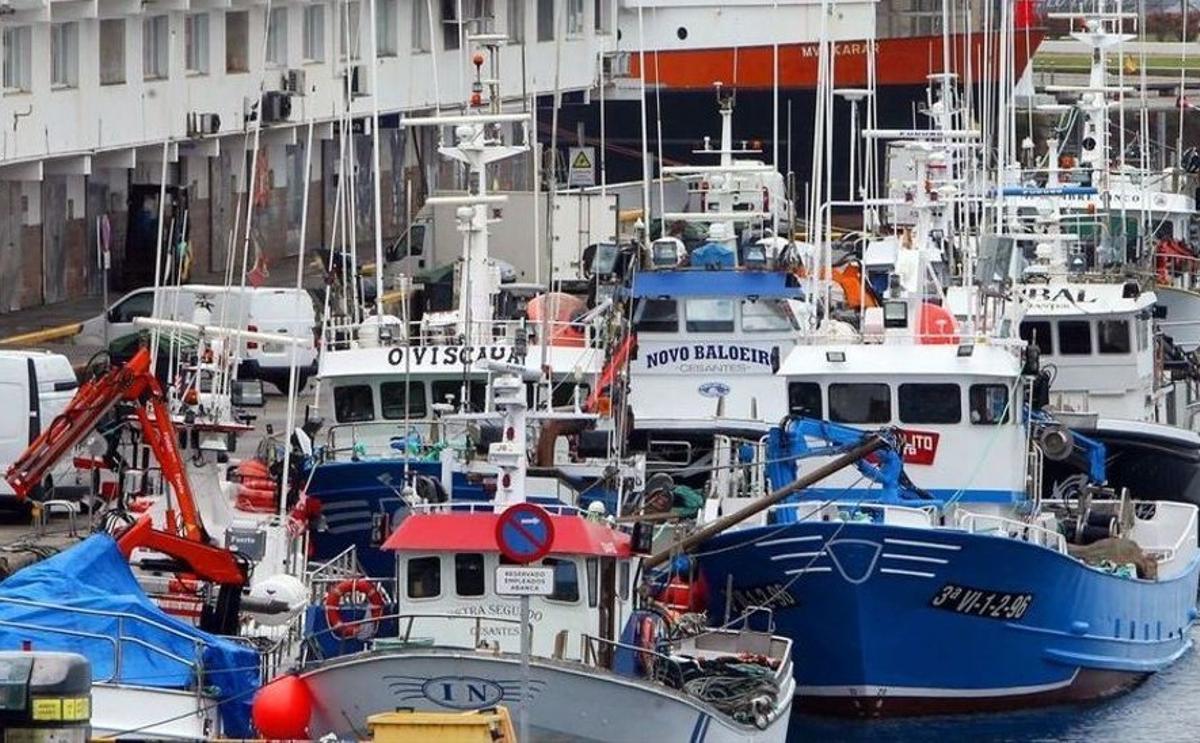 Flota cerquera, en el puerto de O Berbés en Vigo.