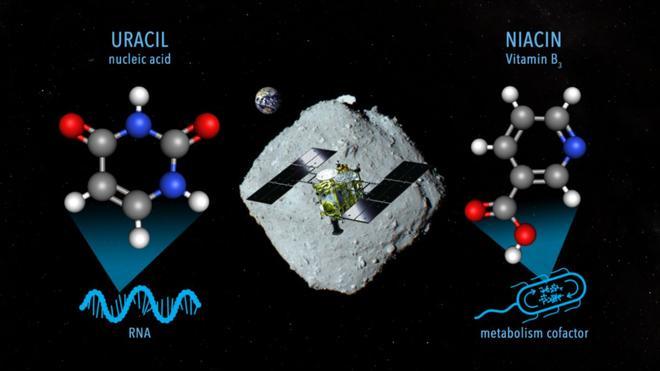 Descubren un componente de ARN en un asteroide lejano