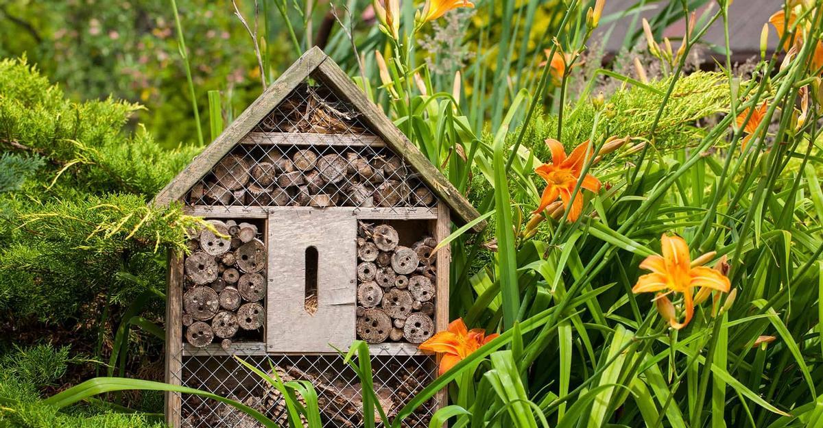 Cómo construir tu propio hotel para insectos