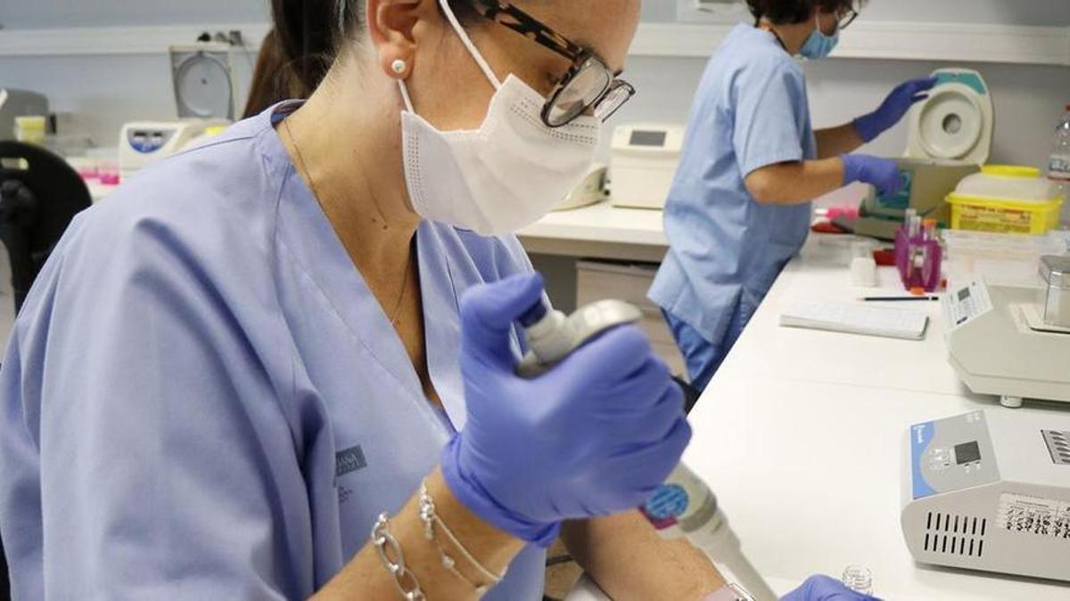 Dos especialistas trabajando en el laboratorio de biología molecular de La Fe, donde se hacen los mapeos genéticos. Dos especialistas trabajando en el laboratorio de biología molecular de La Fe, donde se hacen los mapeos genéticos.