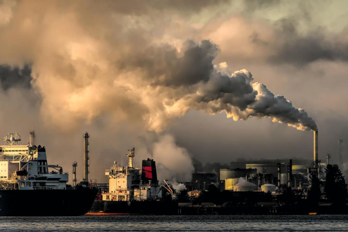 El 99% de la población mundial respira aire insalubre, alerta la OMS El 99% de la población mundial respira aire insalubre, alerta la OMS