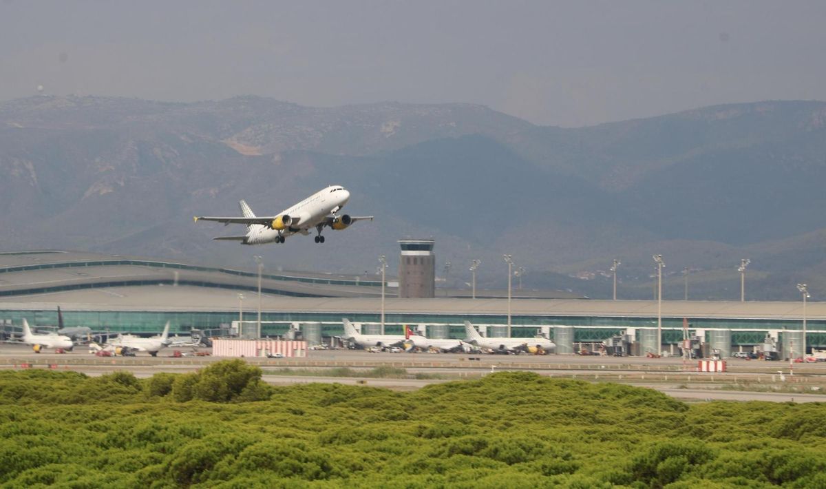Unos 40 pasajeros con pasaporte libanés de un vuelo procedente de Egipto piden asilo en Barcelona Unos 40 pasajeros con pasaporte libanés de un vuelo procedente de Egipto piden asilo en Barcelona