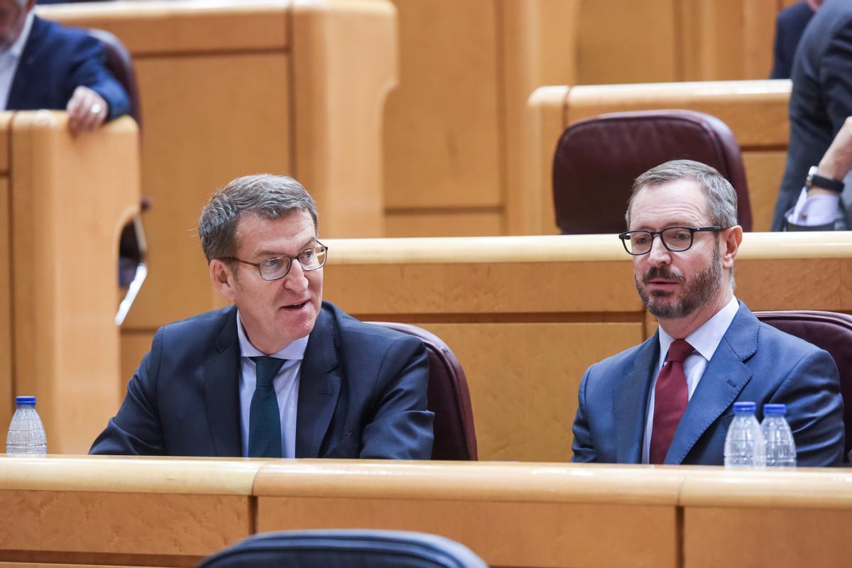 Feijóo y Maroto en sus escaños durante el pleno en el Senado