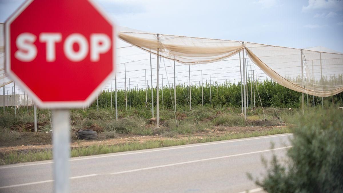 Murcia abre la puerta a tumbar todas las reclamaciones de los regadíos ilegales Murcia abre la puerta a tumbar todas las reclamaciones de los regadíos ilegales