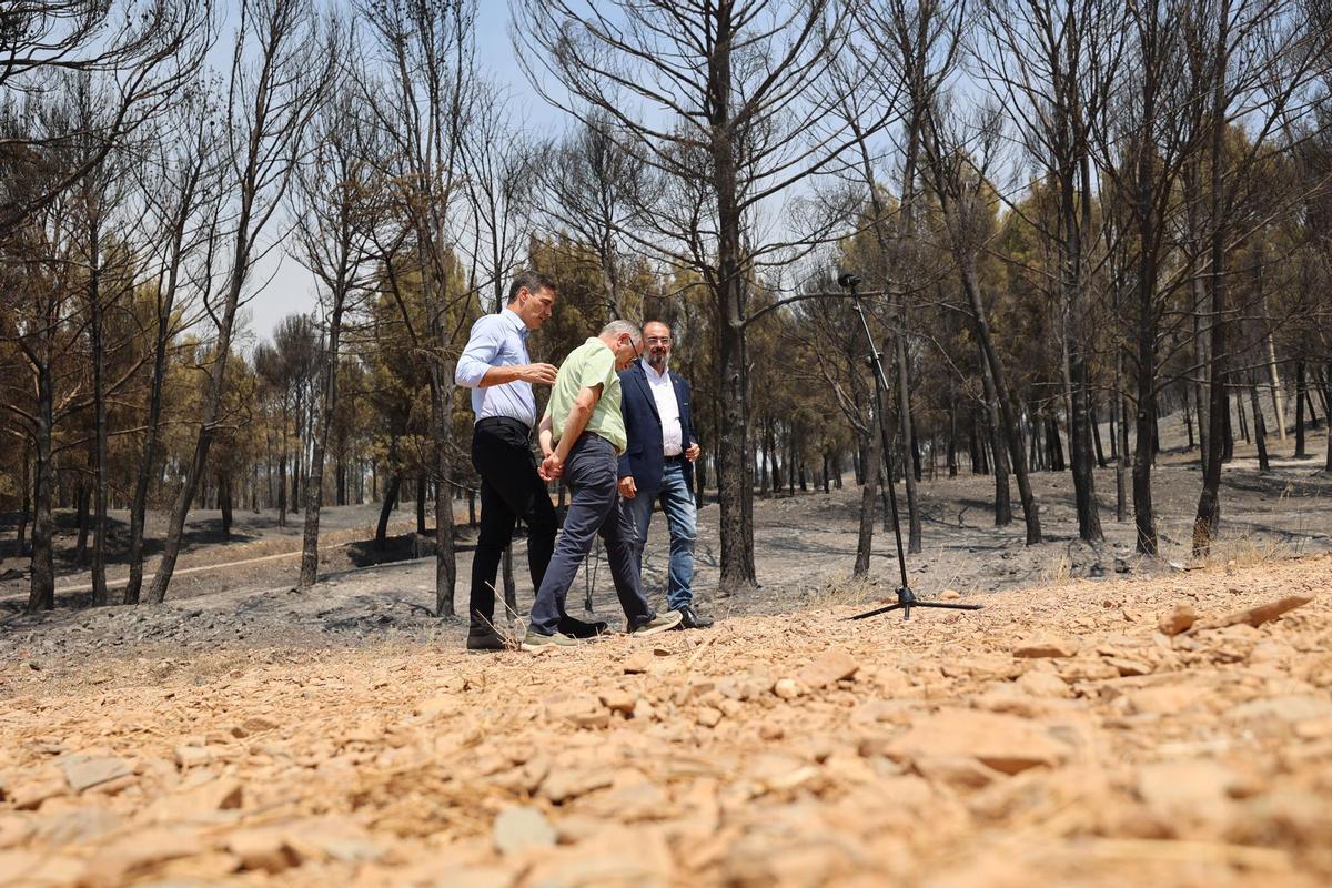 El presidente del Gobierno, Pedro Sánchez (c), visitan la zona afectada por el incendio de Ateca, a 20 de julio de 2022, en Ateca, Aragón, Zaragoza (España).