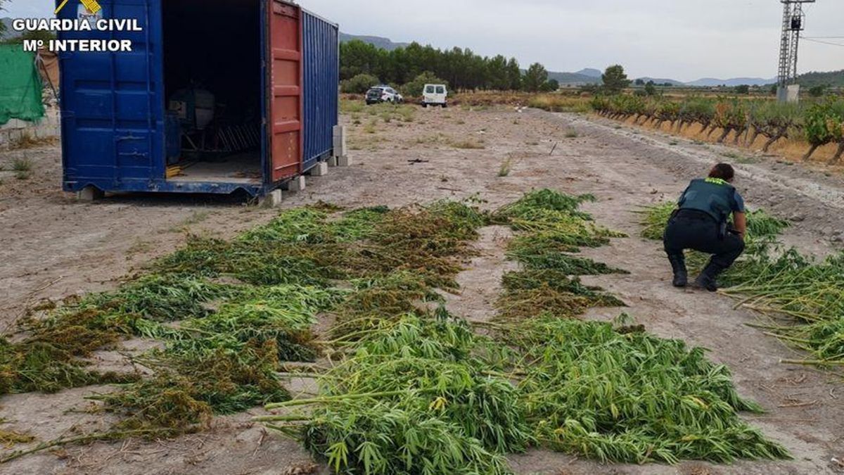 Cuatro detenidos por un vuelco de droga frustrado tras un tiroteo en Alicante Cuatro detenidos por un vuelco de droga frustrado tras un tiroteo en Alicante