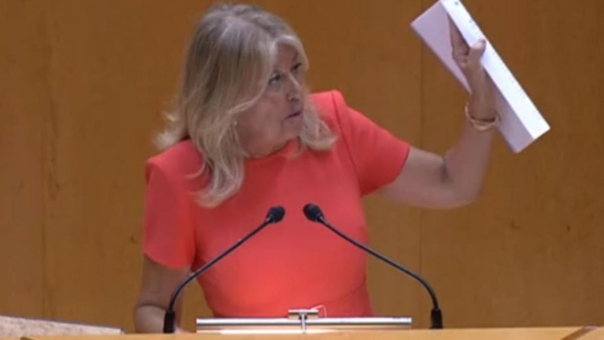 La alcaldesa de Marbella actualiza en el Senado sus bienes en plena investigación a su marido