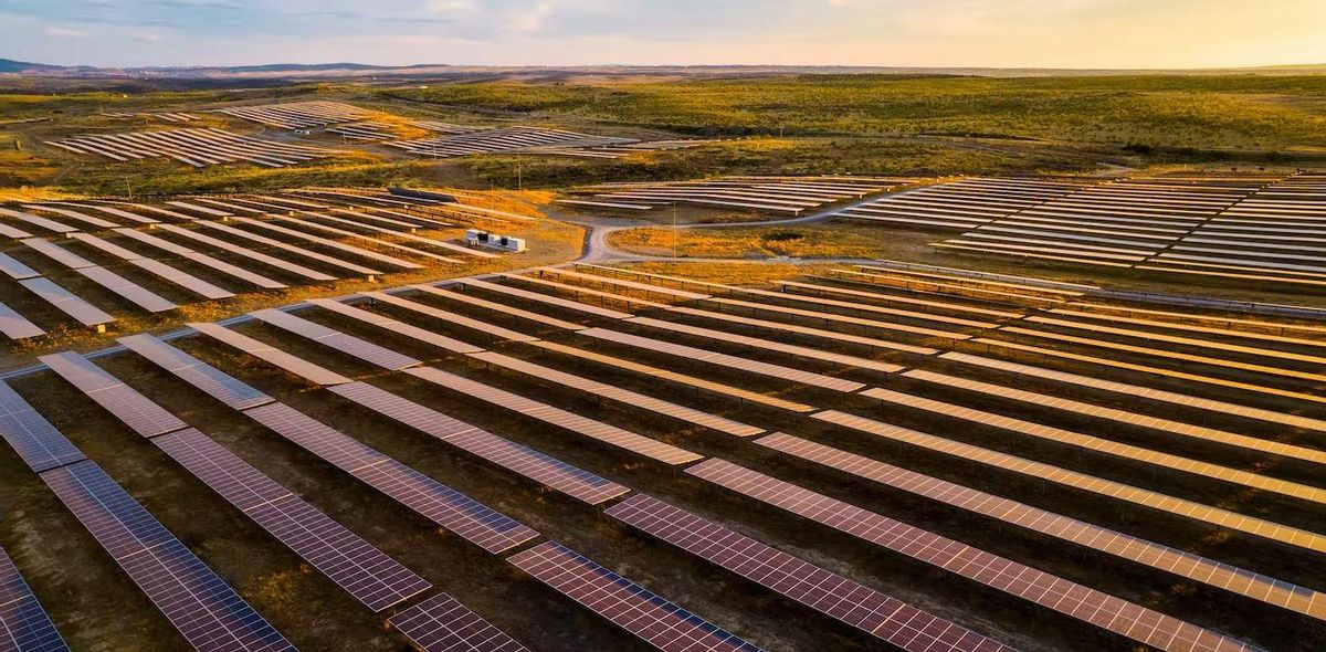 Los riesgos de acelerar la instalación de renovables a costa del medio ambiente Los riesgos de acelerar la instalación de renovables a costa del medio ambiente