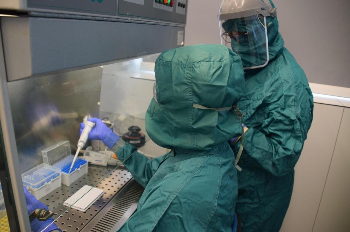 Un estudio usará nanopartículas para tratar el cáncer de páncreas avanzado