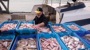 La UE plantea un nuevo recorte de 12 días para la pesca de arrastre y pone en peligro la continuidad de la flota
