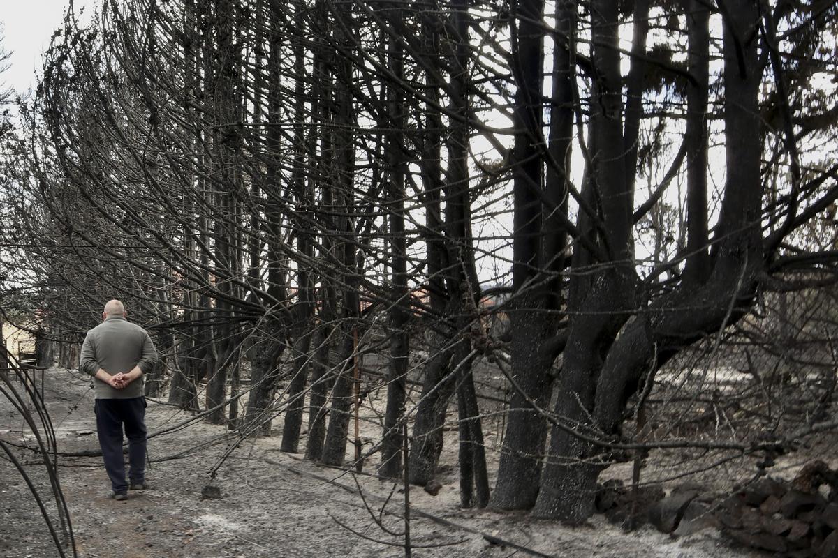Vista general de los daños producidos por el incendio en Otero de Bodas (Zamora), en la sierra de la Culebra este domingo.