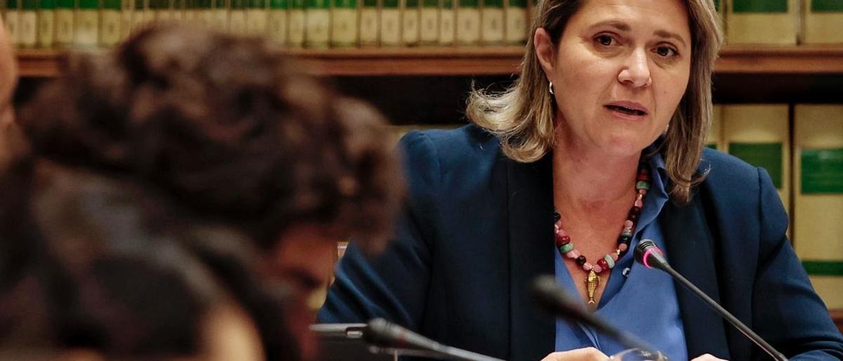 El Gobierno de Canarias niega haber detectado irregularidades del 'caso Mediador' El Gobierno de Canarias niega haber detectado irregularidades del 'caso Mediador'
