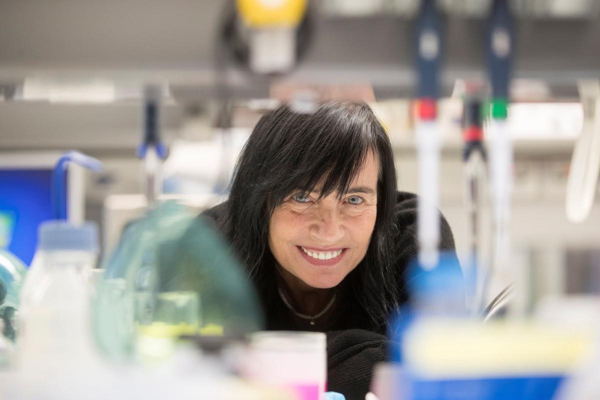 Día Mujer Ciencia Mara Dierssen, la neurobióloga que divulga ciencia