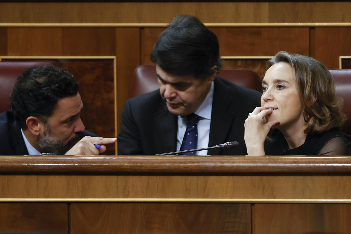 Cuca Gamarra junto a Carlos Rojas y Guillermo Mariscal en el Congreso. Cuca Gamarra junto a Carlos Rojas y Guillermo Mariscal en el Congreso.
