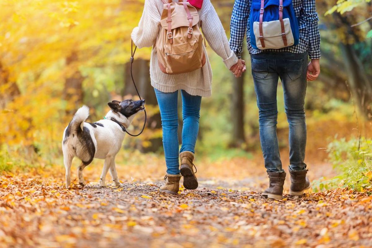 Estos son los beneficios de dar un paseo por la mañana y así afecta al sueño El Periódico de