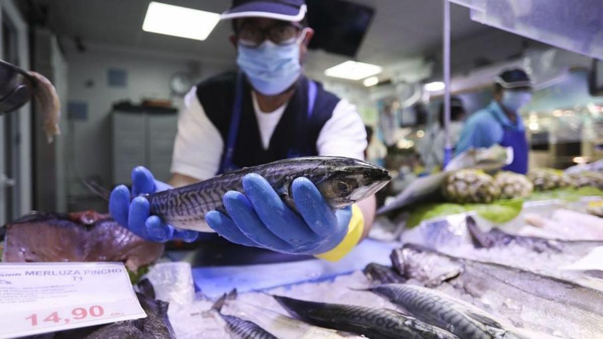 Cerco a la variedad en las pescaderías: la huelga y el amarre de la flota reducen la oferta de productos del mar
