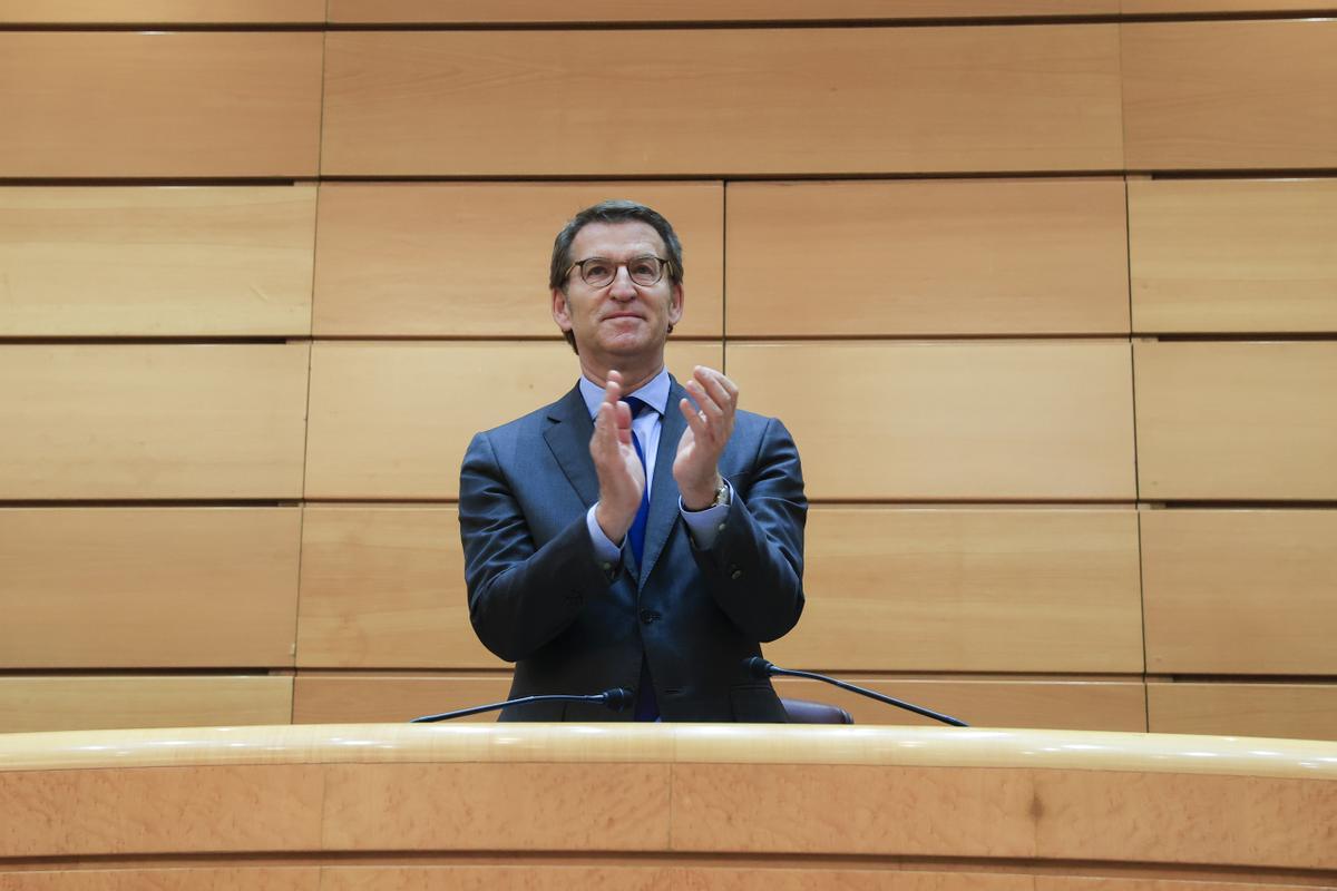 El presidente del PP, Alberto Núñez Feijóo, en el Senado.