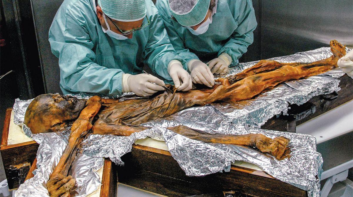 Ötzi, la “momia de hielo” preservada durante 5.100 años, no fue un caso extraordinario