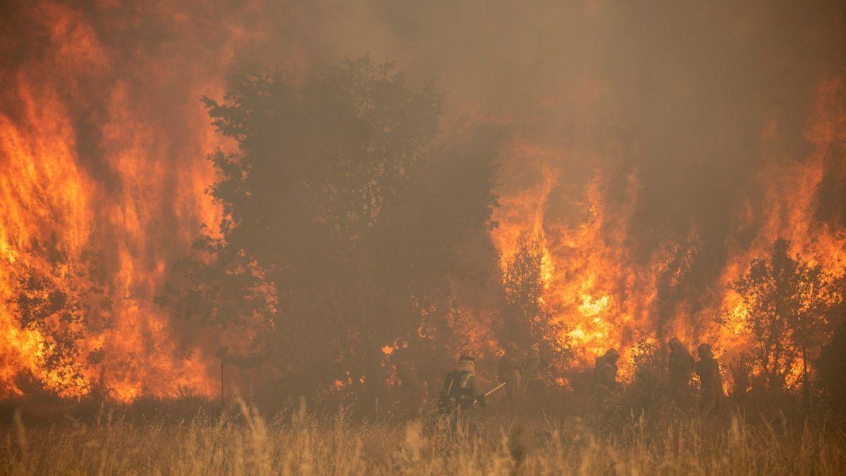 El incendio de Zamora, "estabilizado" en su perímetro tras arrasar 25.000 hectáreas